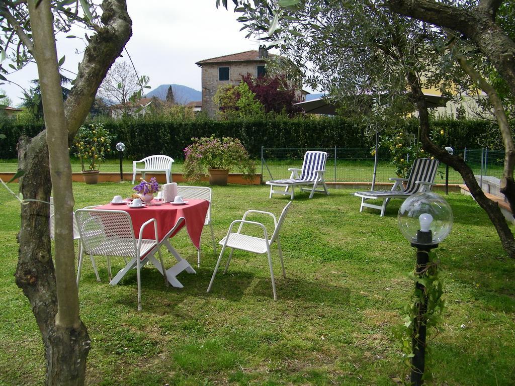 Triolivo