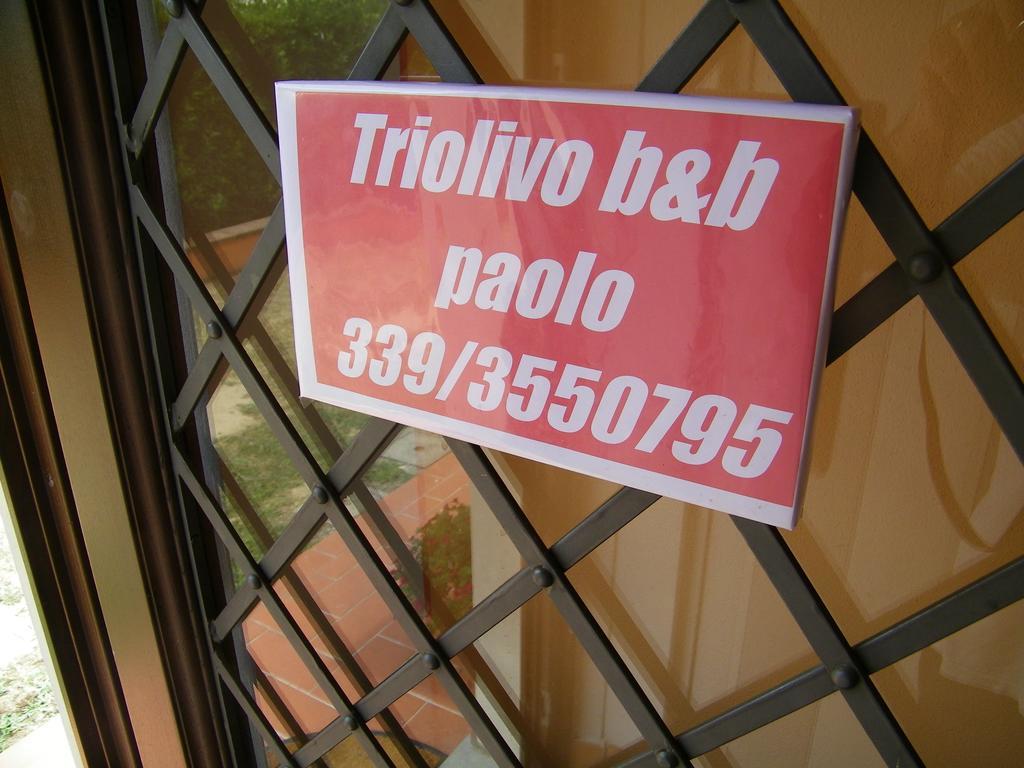 Triolivo Couette-café Lucques